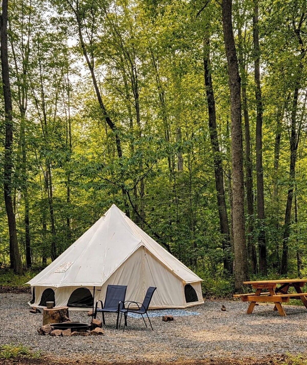 Imagen de perfil del propietario o de la propietaria