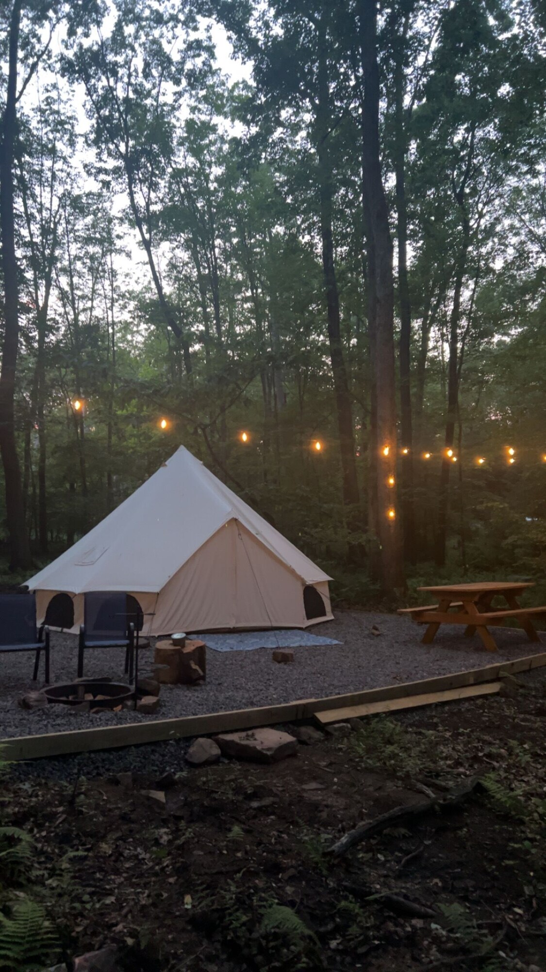 Imagen de perfil del propietario o de la propietaria