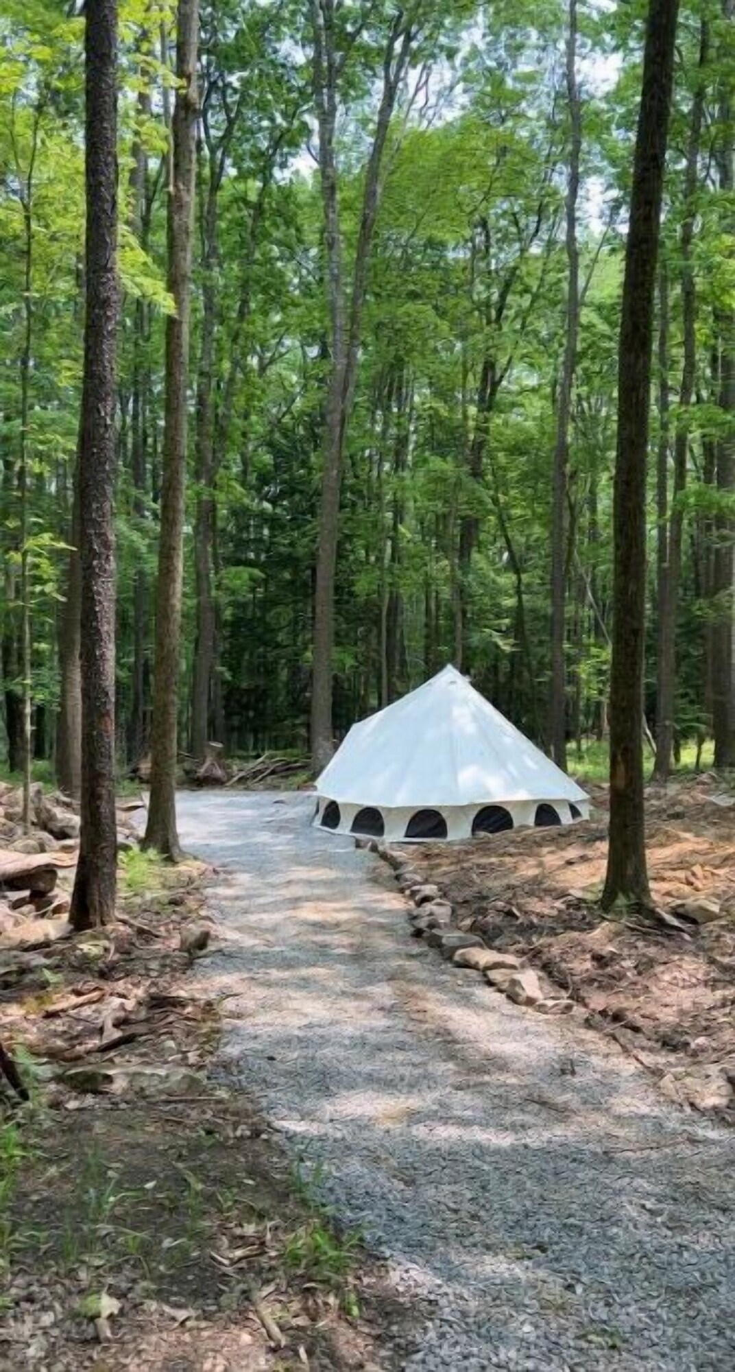 オーナーのプロフィール画像