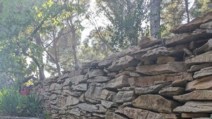Un muro di pietra con un'area giardino con fiori rosa e verdeggiante vegetazione.