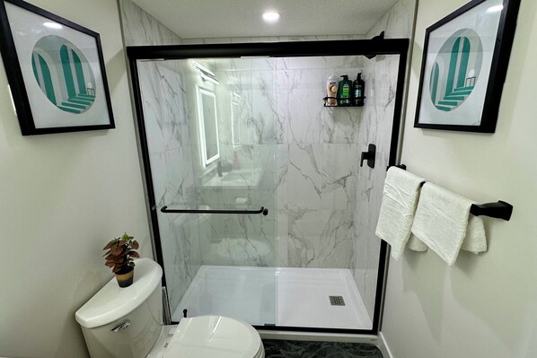 Hair dryer, towels, soap, toilet paper