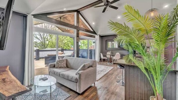 Una sala de estar moderna con un sofá, una mesa de centro y una planta grande.