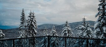 Sköv : Mini house in nature