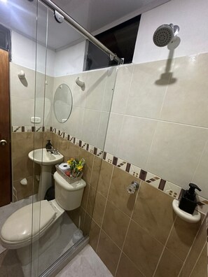 Shower, towels, soap, toilet paper