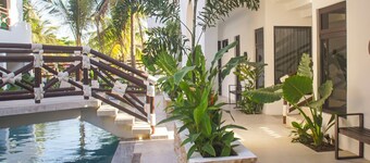 Selanna 1 Luna Nueva