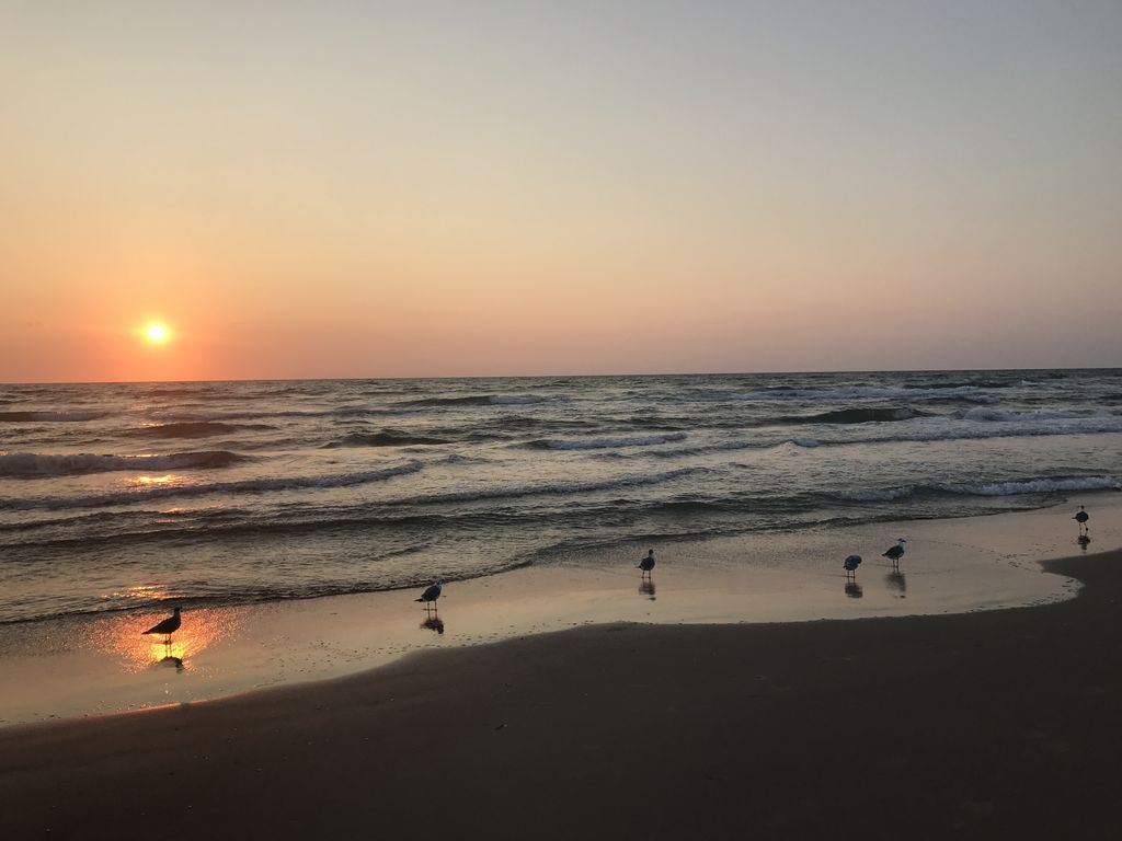 A beach scene with the sun setting over the ocean, waves gently lapping at the shore, and a few birds standing on the wet sand.