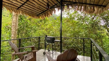 Terras