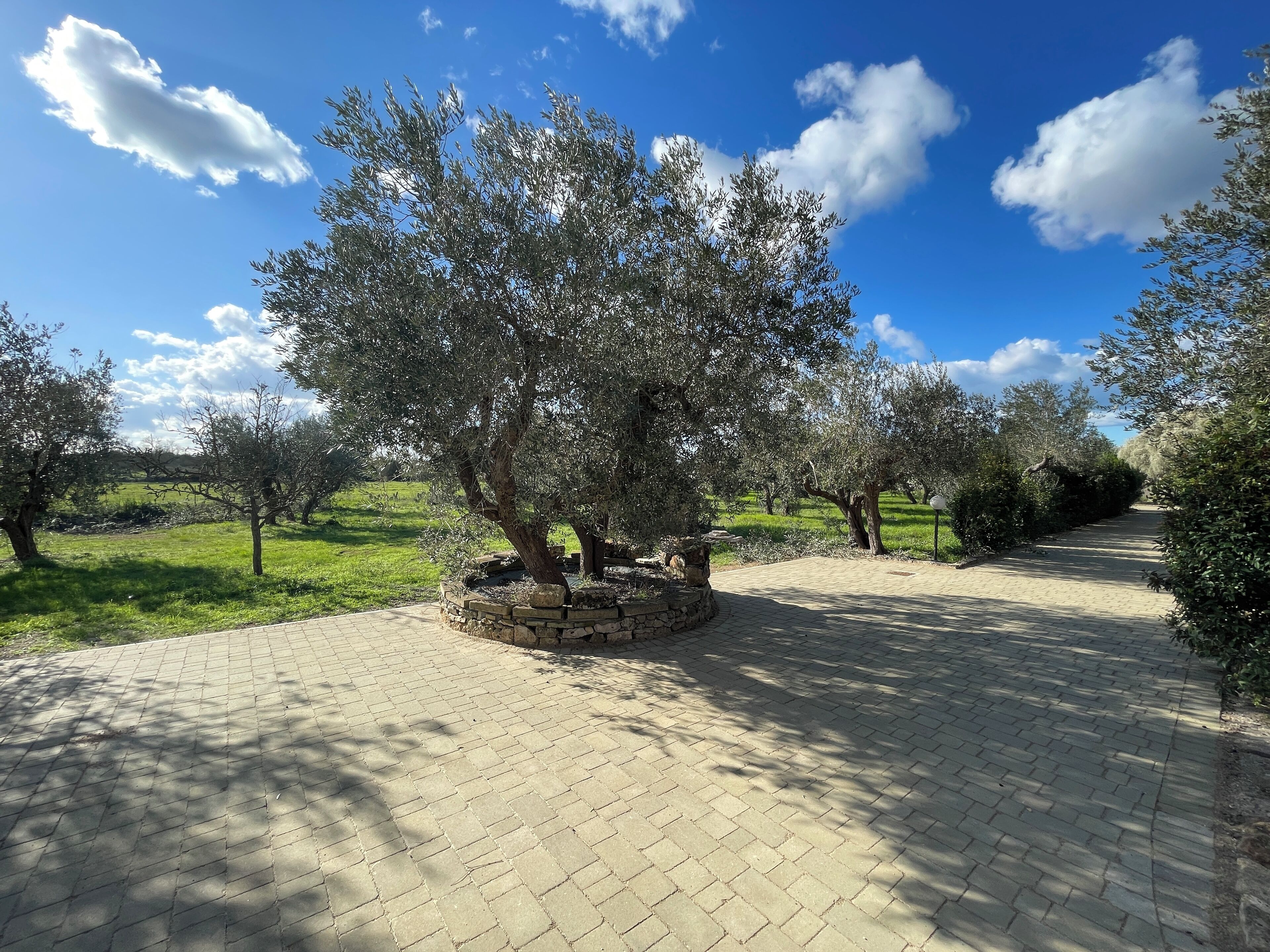 Jardines del alojamiento