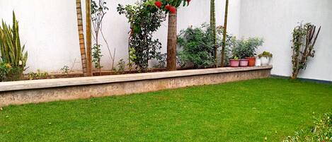 Un jardín bien cuidado con diversas plantas y flores, un césped impecable y un borde bajo de hormigón.