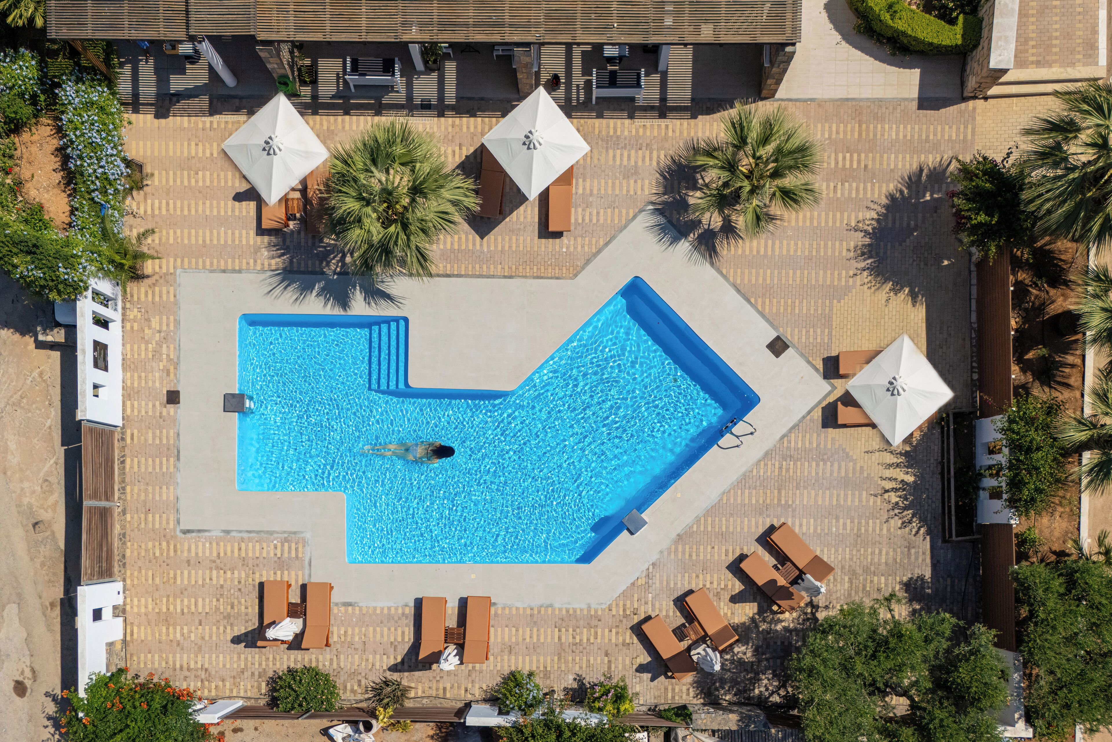 An aerial view of a swimming pool area with lounge chairs and umbrellas.