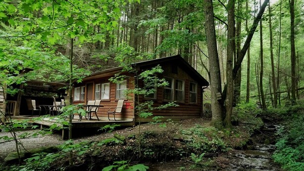 A cabin with a porch and outdoor seating, surrounded by a forest.