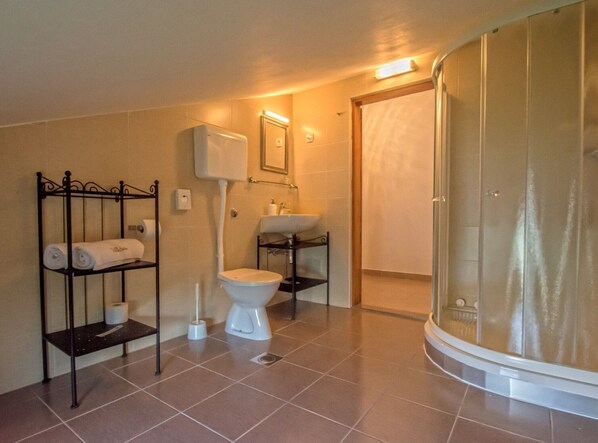 Baño con inodoro, lavabo y ducha. Se observan un perchero con toallas y un dispensador de papel higiénico.