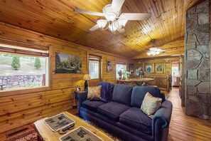 TV, fireplace - Beautiful dog-friendly river view cabin with mountain views and private fire-pit (Topton)