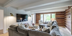 Smart TV, fireplace, books