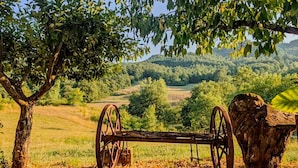 A rustic wooden bench with large wheels, set in a natural landscape with trees and hills in the background. - Ca di Borra - Bio Garden & Stunning Views (Badia Tedalda)