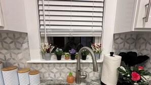 Cozinha com pia de aço inoxidável dupla, janela com persianas e diversos vasos de plantas no parapeito.
