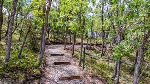 A gravel path with wooden steps surrounded by trees.