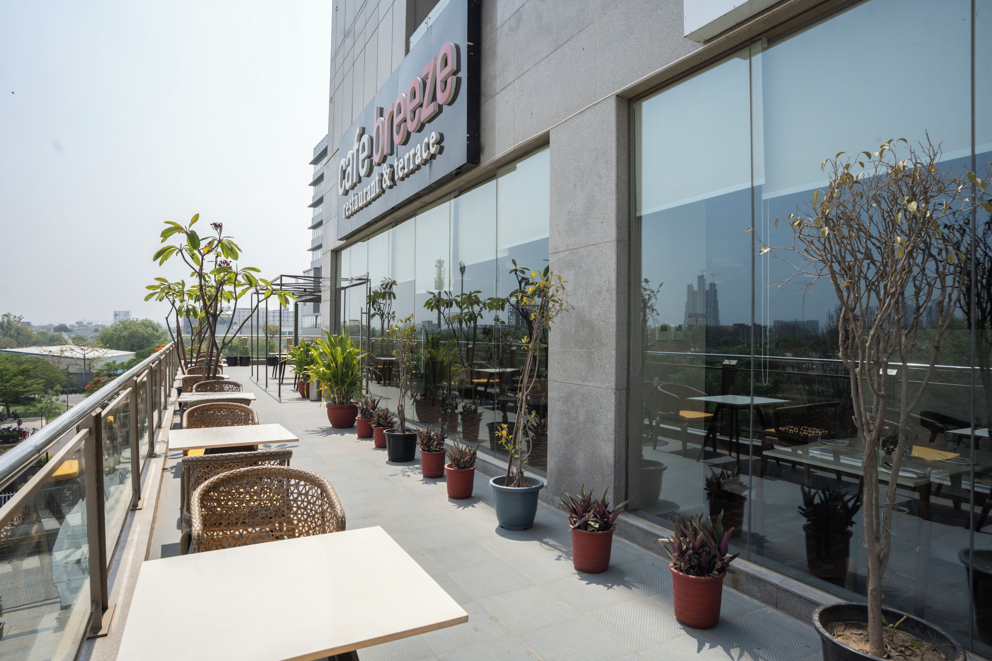 A café with outdoor seating, potted plants, and a view of the cityscape.
