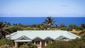 A house with a green roof, surrounded by greenery and palm trees, overlooking a clear blue ocean. - Kumulani H3 Two Bedroom (Kamuela)