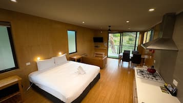 1 bedroom, iron/ironing board, Internet