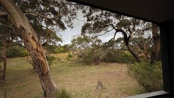 Vue depuis lâhĂ©bergement