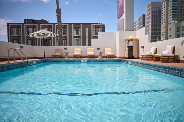 A swimming pool with lounge chairs and a palm tree. - Relaxing Double Room with Rooftop Pool, Near Pier 39 & Coit Tower (San Francisco)