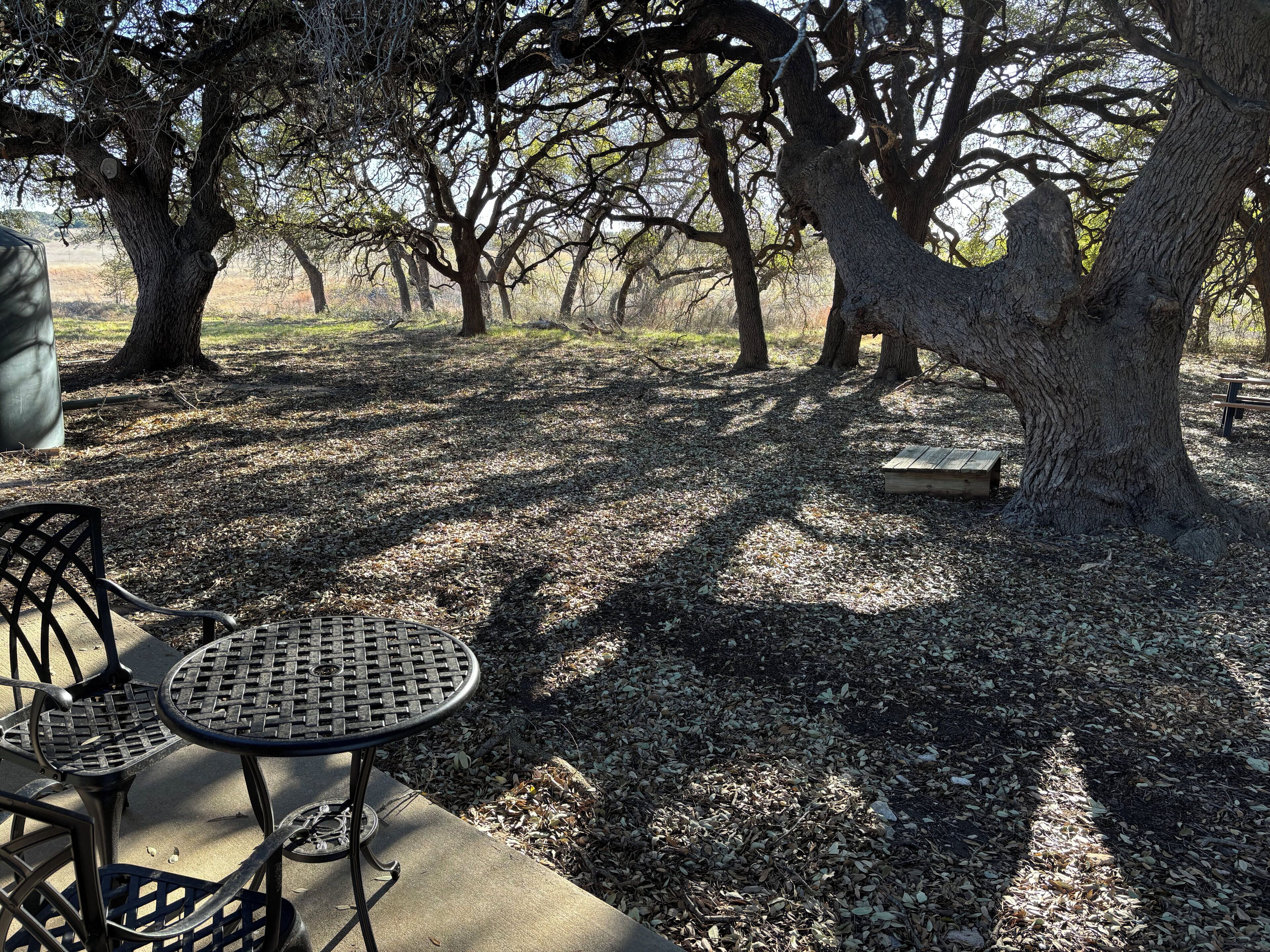 A park with a metal table and chairs, surrounded by trees and a picnic table.