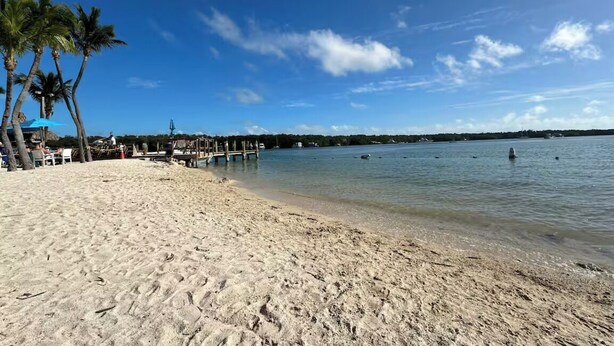 A sandy beach with palm trees and a clear blue sky. - Charming studio in Homestead with private backyard (Homestead)