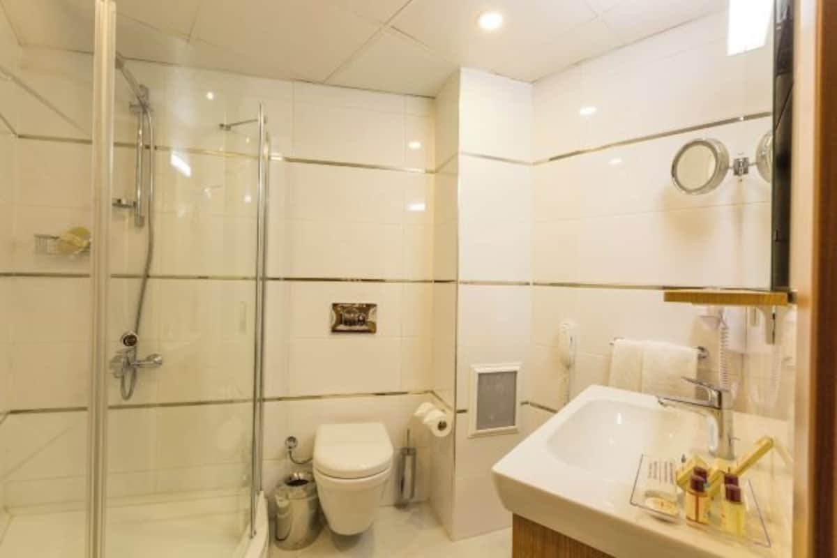 A modern bathroom with a glass shower enclosure, a toilet, and a sink with toiletries.