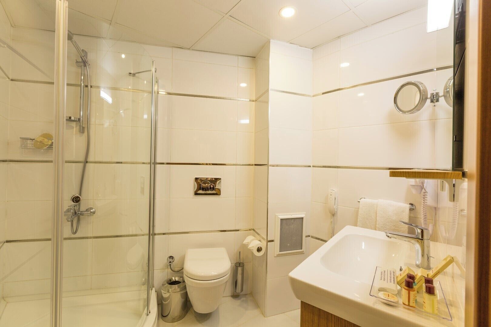 A modern bathroom with a glass-enclosed shower, a toilet, and a sink with toiletries.