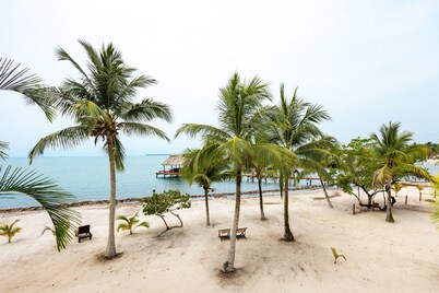 3 Bedroom Luxury Beachfront Condo Brand New Pool