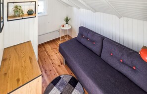 تلفزيون، مدفأة