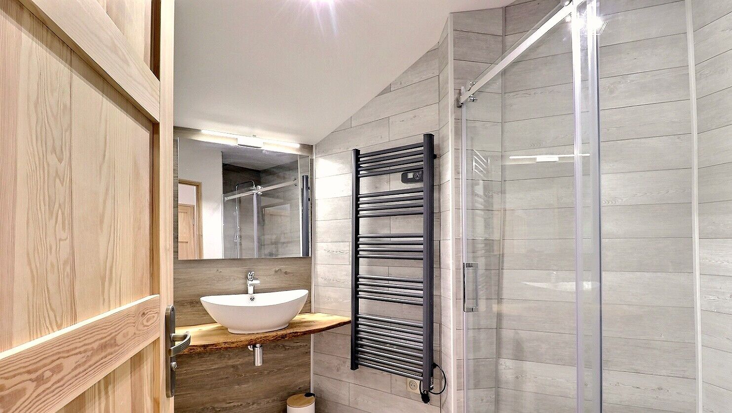 Shower, hair dryer, toilet paper