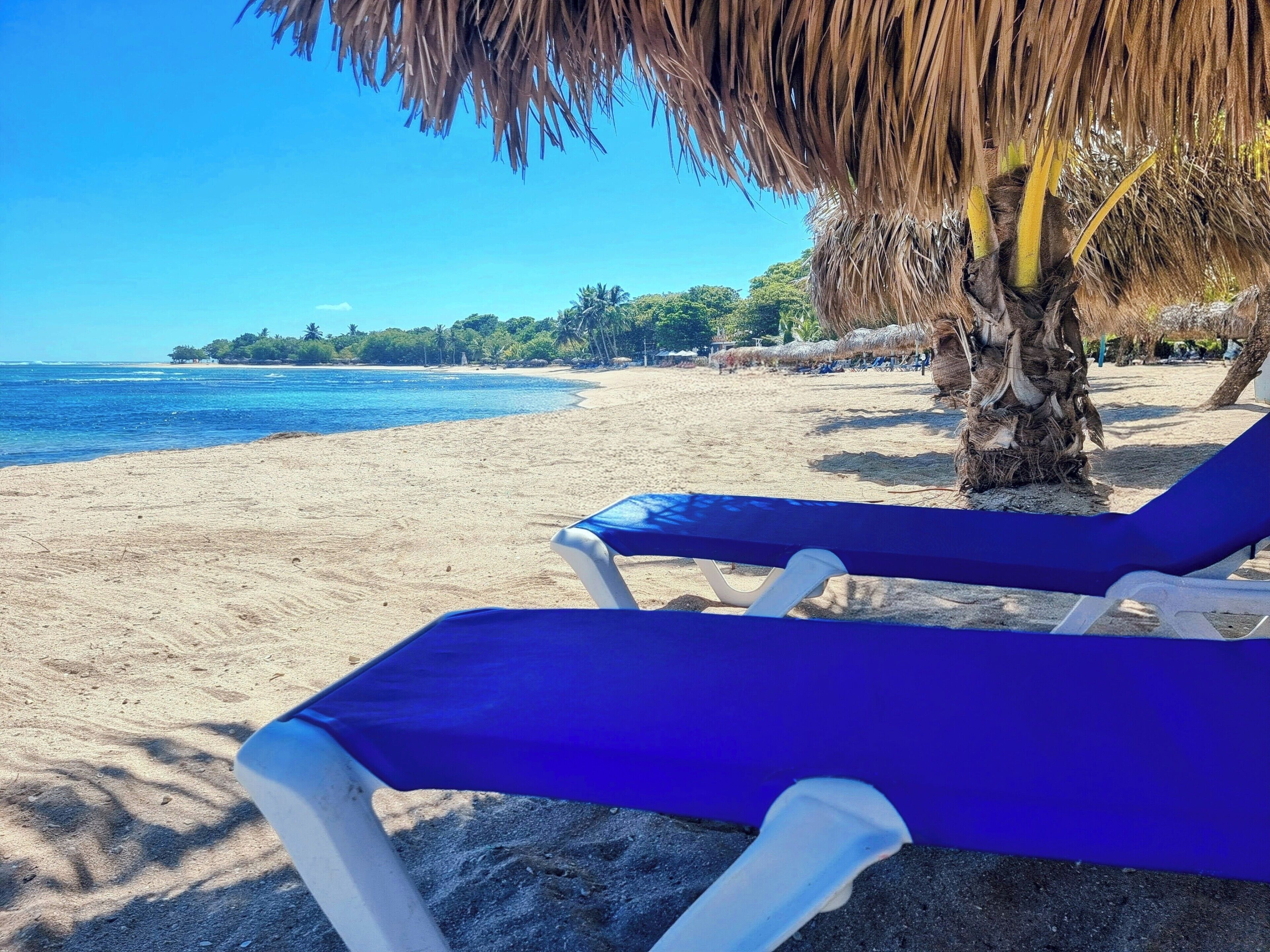 A beach with clear blue water, a sandy shore, and a palm tree.