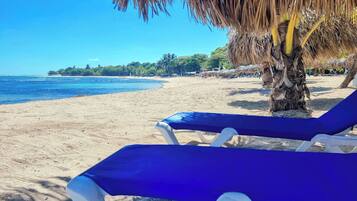 A beach with clear blue water, a sandy shore, and a palm tree.