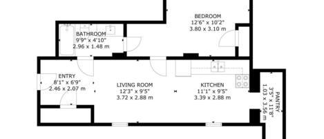 A floor plan of a house with a bedroom, bathroom, living room, kitchen, entry, and pantry.