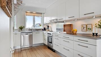 Fridge, oven, stovetop, dishwasher