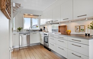 Fridge, oven, stovetop, dishwasher