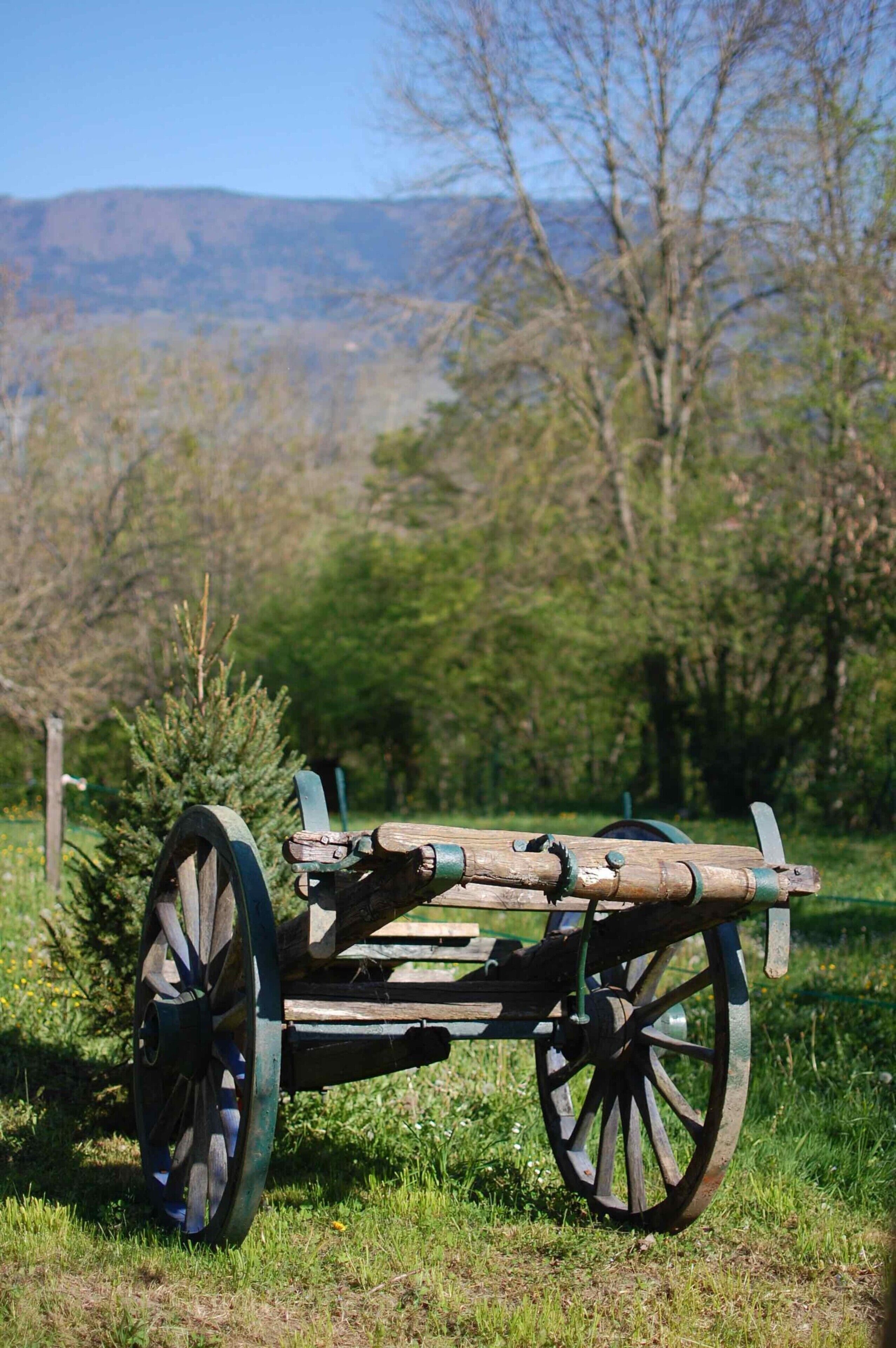 Un chariot en bois, doté de grandes roues, se trouve dans un champ herbeux, avec des arbres et une montagne en arrière-plan.