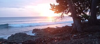 House coral beach hostel, in front of the caribbean sea, hammock area, swimming pool, bar, restaurant, bar, restaurant.
