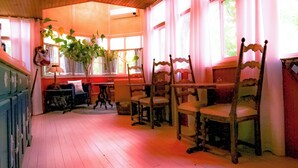 Una habitación con pisos de madera, una mesa de comedor con sillas, un banco y una planta en maceta.