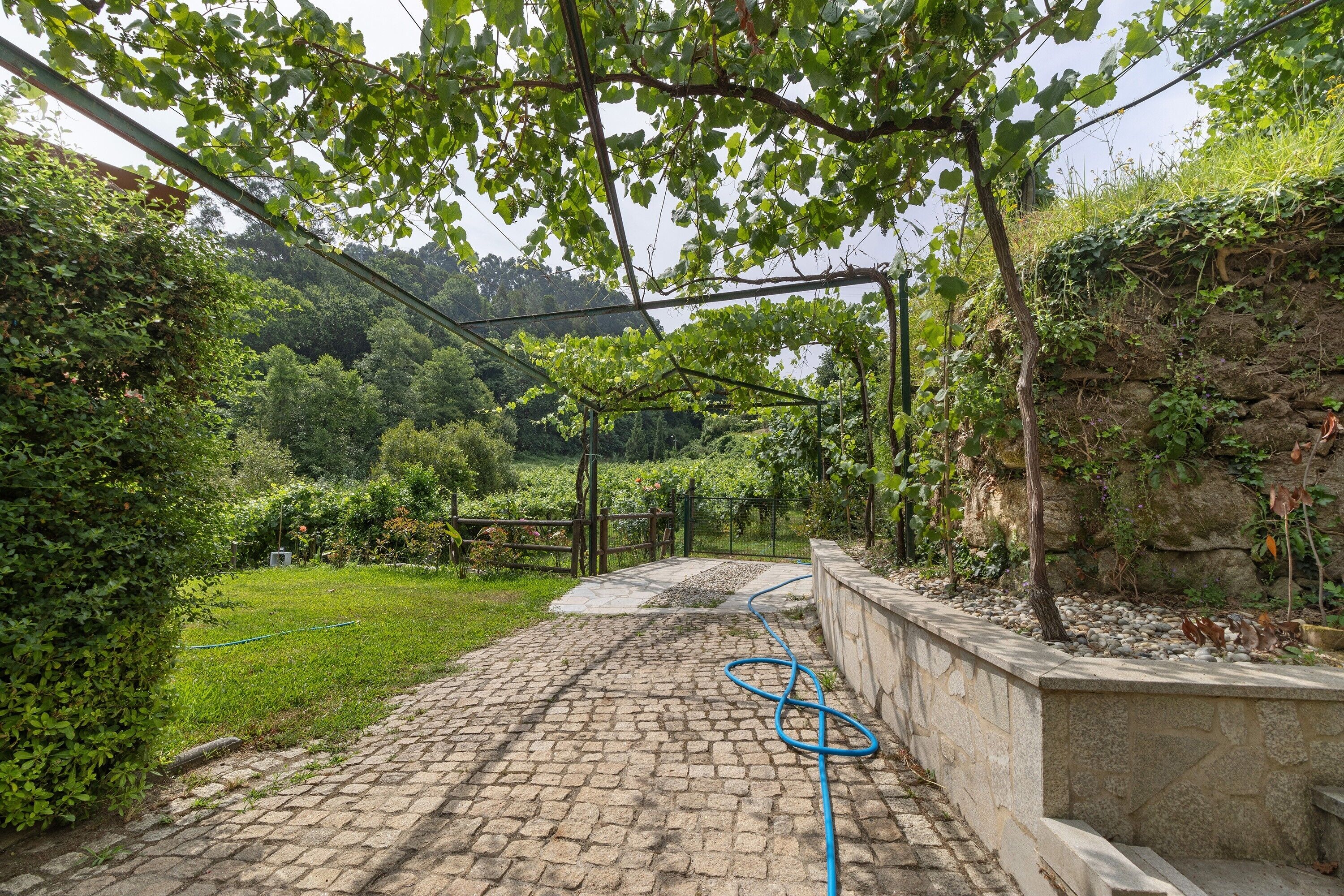 Un sendero pavimentado que conduce a un jardín con muro de piedra y vegetación.