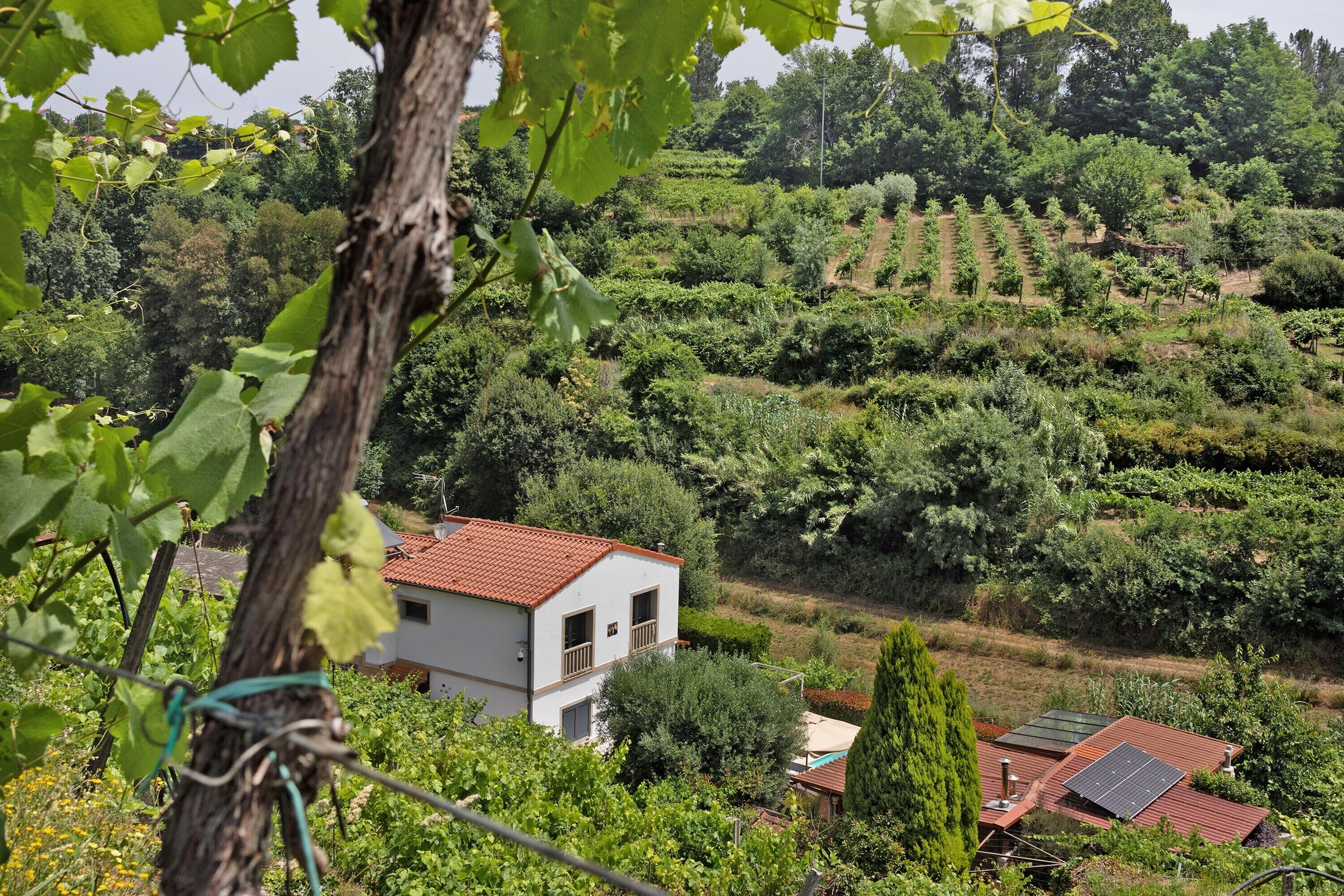 Áreas de la propiedad