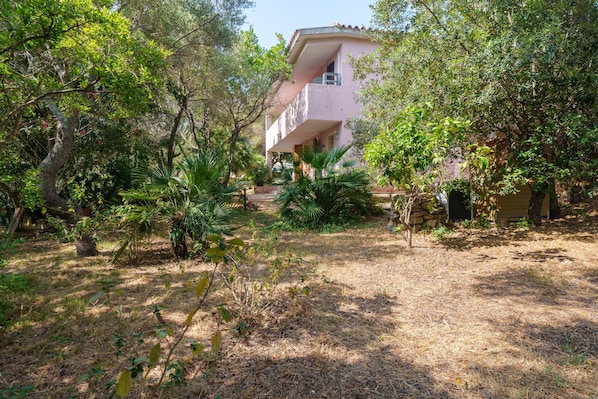 A building surrounded by trees and a dry grassy area.