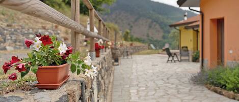 Terrein van de accommodatie