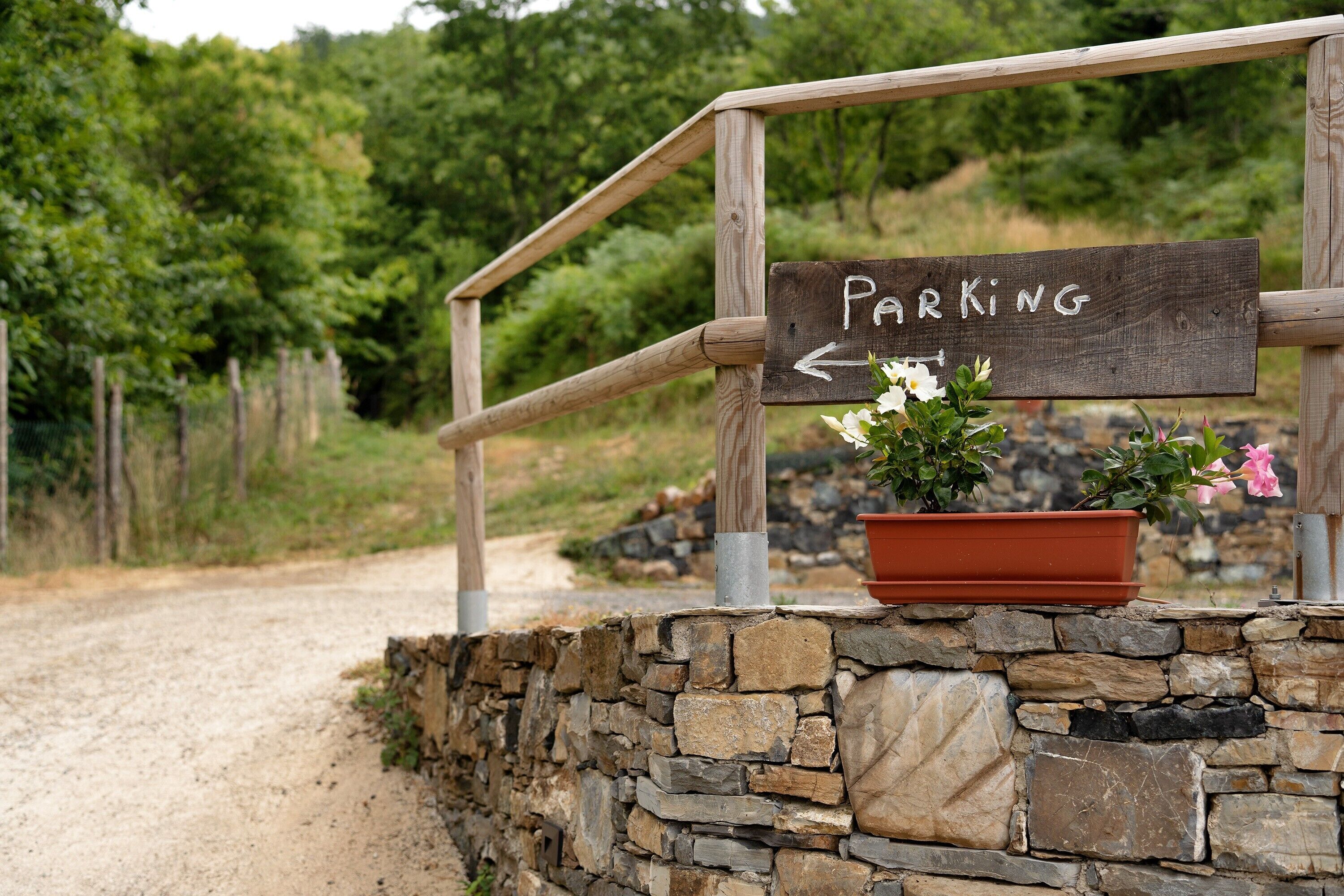 A wooden sign with 'PARKING' and an arrow pointing left, a stone wall, and a potted plant with flowers.