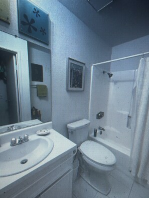 Assecador de cabells, tovalloles, sabó i paper higiènic 