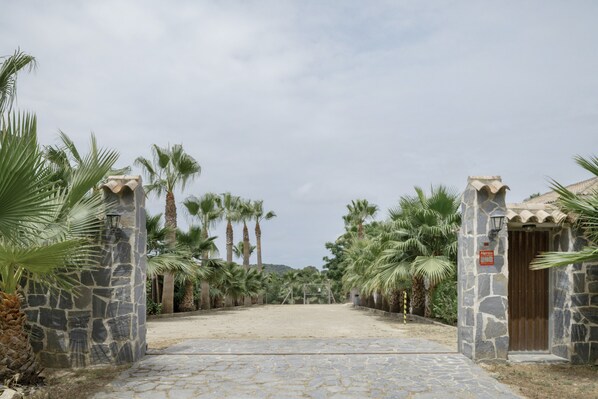A stone pathway leading to a building with a wooden door, surrounded by palm trees.