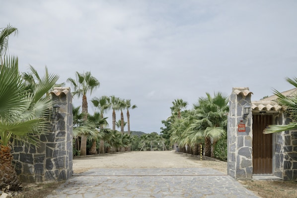 A stone pathway leading to a building with a wooden door, surrounded by palm trees.