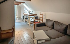 TV, fireplace, table tennis